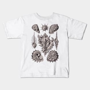 Ernst Haeckel Prosobranchia Sea Shells Aubergine Kids T-Shirt